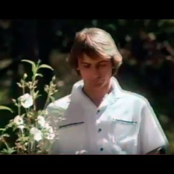 Artist: Alfonso Pahino