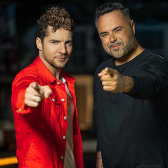 Artist: David Bisbal ft Juan Magan