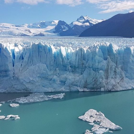 Artist: Panizza - Dario Volonte Teatro Colon 1999